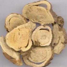 苦参精选内蒙古苦参片