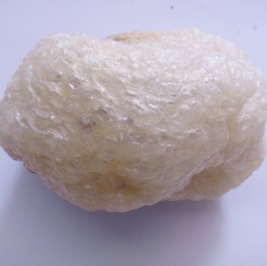 精选刺龟鱼皮优质海刺猬皮