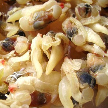 青岛海鲜优质蛤蜊肉干