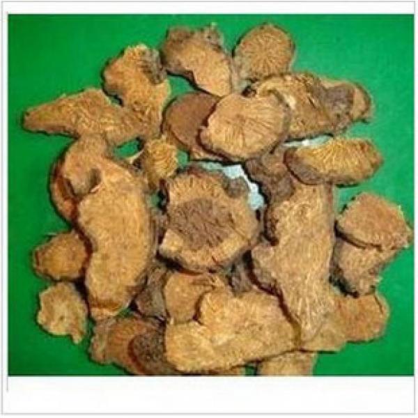 精选正宗赤地榆红地榆