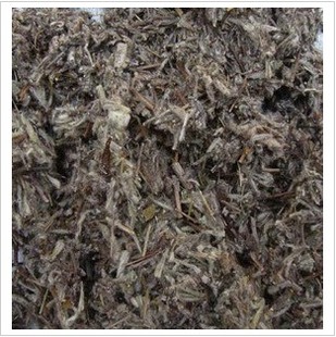 火绒草老头草薄雪草干