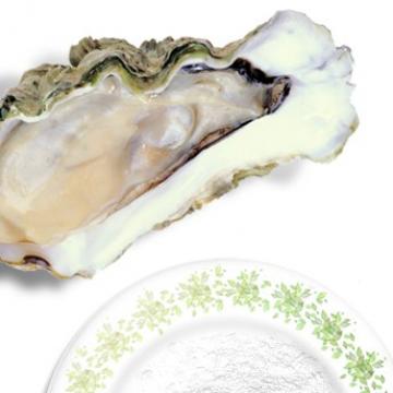 牡蛎粉现磨牡蛎无盐牡蛎粉纯粉
