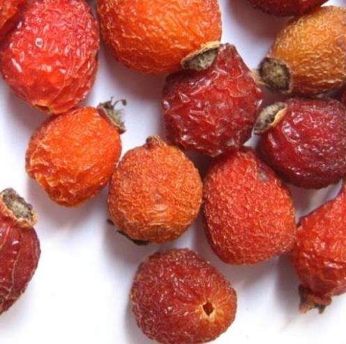 正宗蔷薇果野生蔷薇果