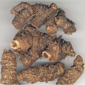 羌滑精选羌青野生羌活