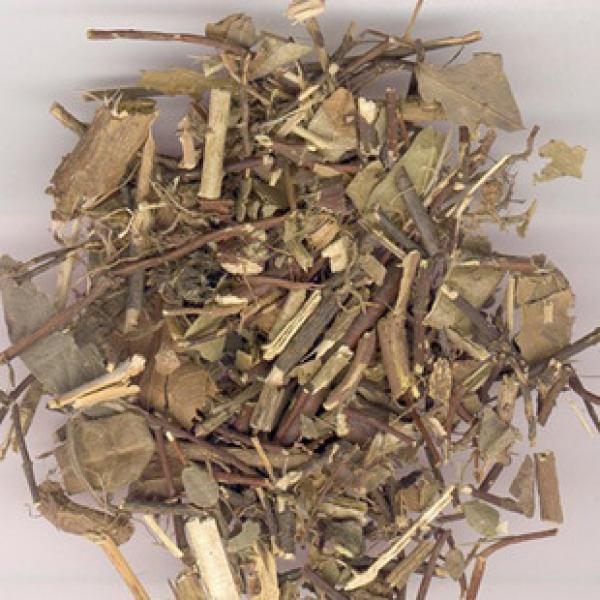 络石藤正宗野生络石藤