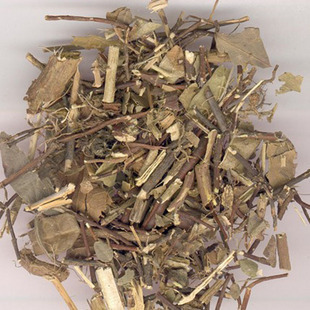 络石藤正宗野生络石藤