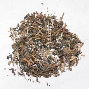 野生地锦草干正宗地锦草