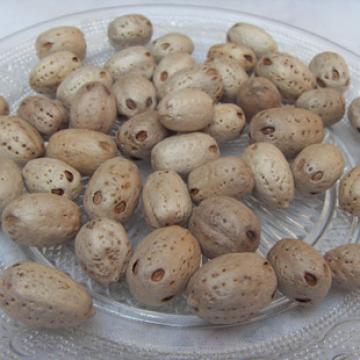 南酸枣 五眼果 化郎果