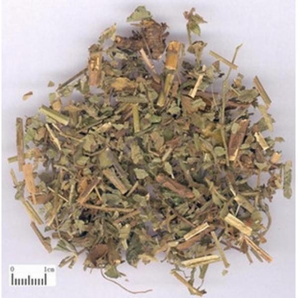 龙牙草 狼牙草 仙鹤草