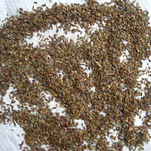 正宗优质野生益母草子