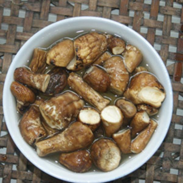 纯野生美味干货香菇脚