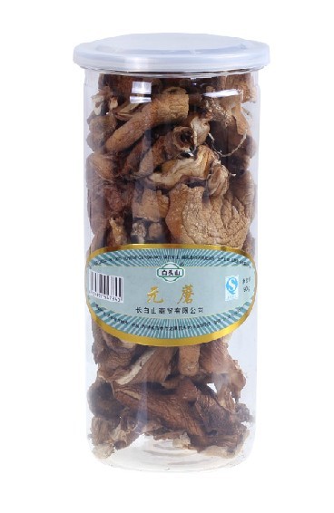 山木耳榛蘑松茸元蘑菇