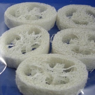 丝瓜络丝瓜布丝瓜筋络