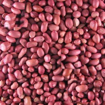 红皮花生米东北优质花生米