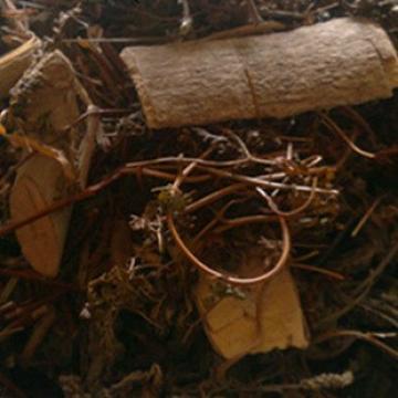 芦根金钮头木惠根桑叶