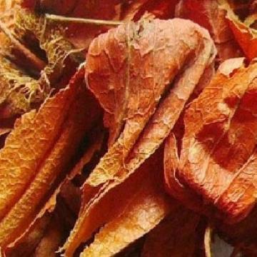 灯笼花干花精选灯笼花