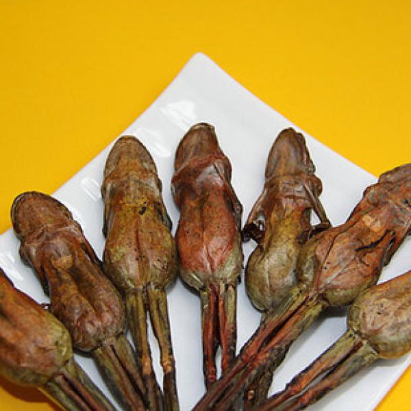 东北雪蛤林蛙干雪蛤膏