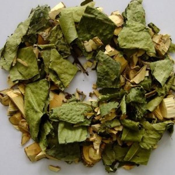 美登木干茎野生美登木