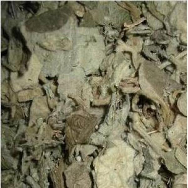 清骨风 猫耳朵 穿地节