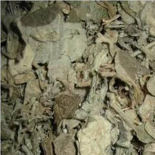 清骨风 猫耳朵 穿地节