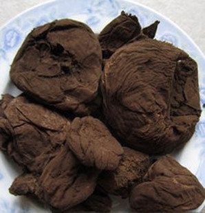 人头菌牛屎菌地烟马勃