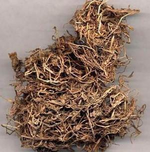 半边莲半边菊金菊草本