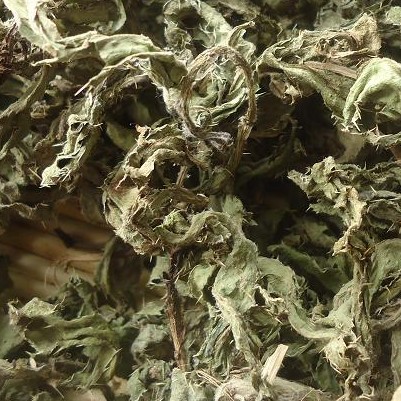 蓟菜干小蓟野青刺蓟菜