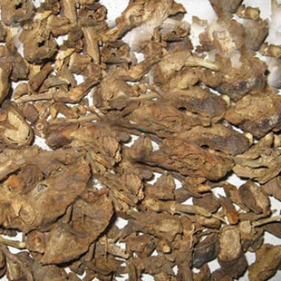 墓回头跟追风箭脚汗草