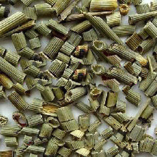 野生木贼草节节无心草