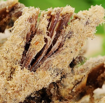 重庆土特产零食牛肉条