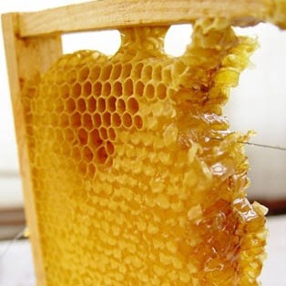 蜂巢蜜新鲜封盖蜂巢蜂蜜