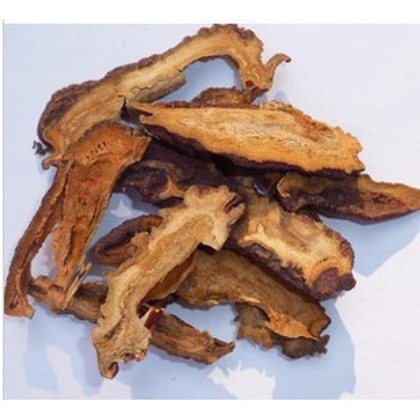 贴梗木瓜宣木皱皮木瓜