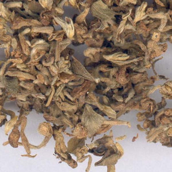 杜芫野丁香花野生芫花