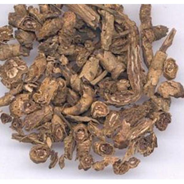 精选正宗玄参科胡黄连