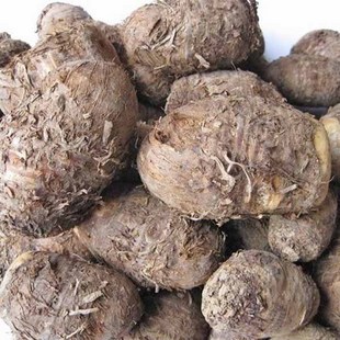 正宗精选纯野生独角莲