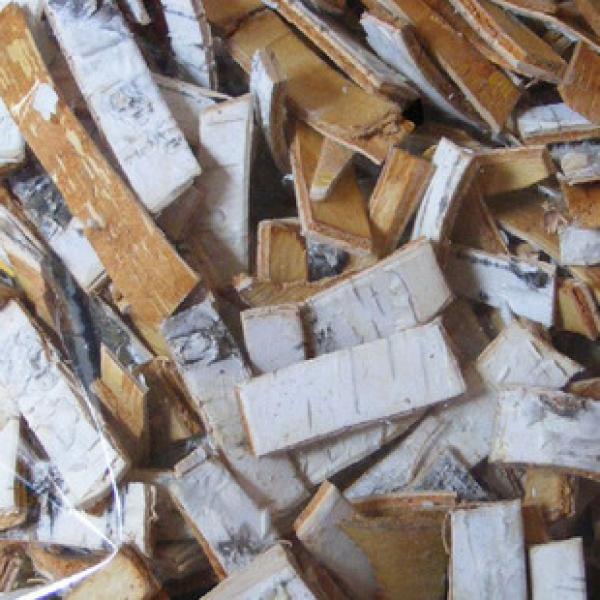 精选桦树皮白桦树皮干
