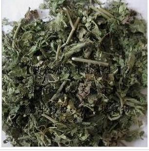 芙蓉叶干地芙蓉山芙蓉