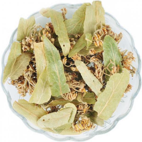 正宗菩提叶野生菩提叶