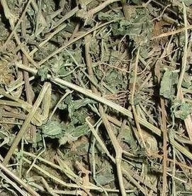 小青草干草精选小青草