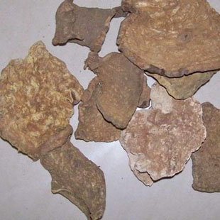 精选正宗无硫野蔷薇根