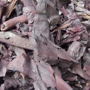 硬紫草干草野生硬紫草