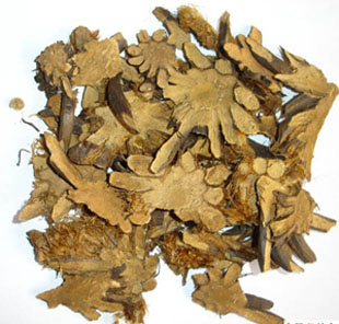 贯众贯节贯渠百头虎卷