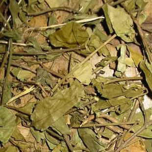 武靴藤干精选优质藤本