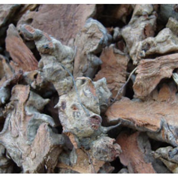 菝葜精选金刚刺金刚藤