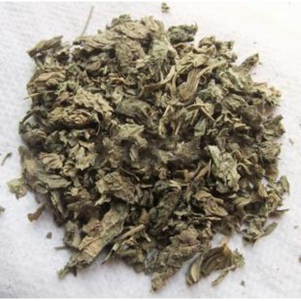 精选正宗特级冬葵苗叶