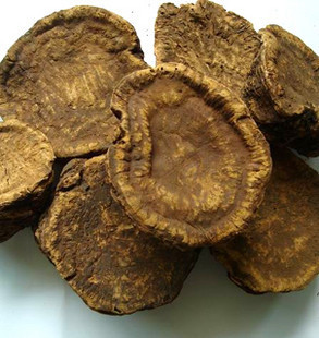 大黄君木札唐古特大黄