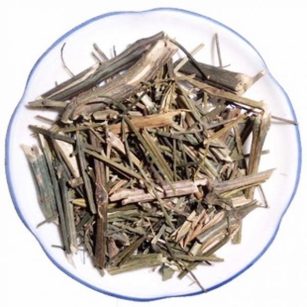 穿心莲 川心莲 一见喜