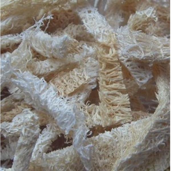 精选丝瓜络优质丝瓜布