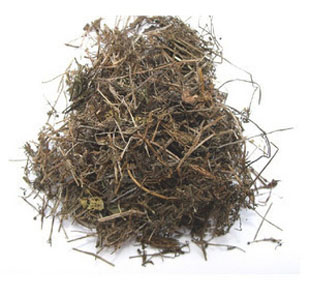 精选猪殃殃干野生猪秧秧