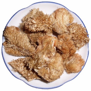 鸡冠花正宗白鸡冠花